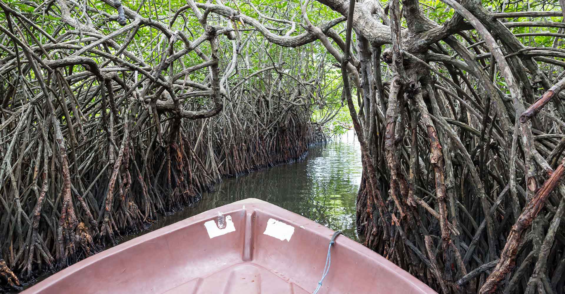 Wildlife in Sri Lanka